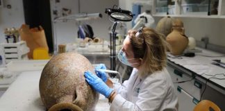 El MAEF y el Consell de Formentera exponen las ánforas romanas recuperadas al sur del Cap de Barbaria