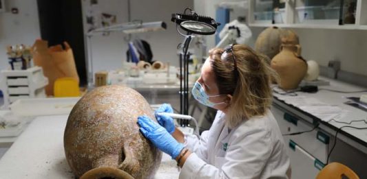 El MAEF y el Consell de Formentera exponen las ánforas romanas recuperadas al sur del Cap de Barbaria