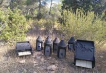 Sanidad forestal incrementa el número de cajas nido para murciélagos en las Pitiusas
