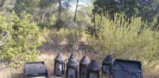 Sanidad forestal incrementa el número de cajas nido para murciélagos en las Pitiusas
