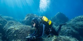 Medio ambiente pide colaboración ciudadana para detectar invertebrados marinos en peligro
