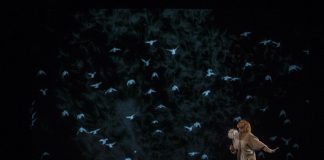 Llega «Blowing», un espectáculo visual, poético e innovador