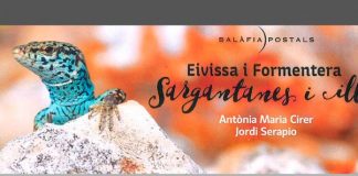 Formentera acoge la presentación del libro «Eivissa i Formentera. Sargantanes i illes»