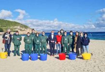 El Impuesto de Turismo Sostenible propicia la mejora de la calidad ambiental de unos setenta espacios litorales de Eivissa y Formentera