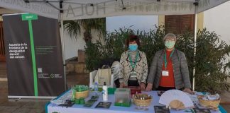 Formentera se une a la campaña “¿Iguales?» con motivo del Día Mundial contra el Cáncer