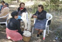 Taller sobre técnica tradicional para el tratamiento de la lana