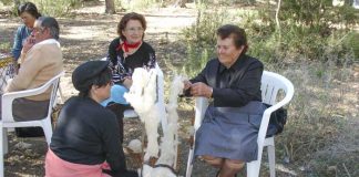 Taller sobre técnica tradicional para el tratamiento de la lana