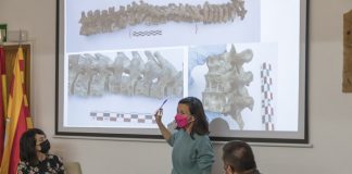 Seis cuerpos recuperados en la exhumación realizada en Formentera podrían ser compatibles con víctimas de es Campament