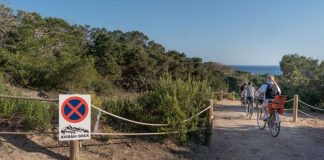 Formentera regula el acceso de vehículos a es caló des Mort y es Ram y a Cap de Barbaria a partir de hoy 15 de mayo área de Movilidad, regulación acceso y aparcamiento, entre el 1 de junio y el 30 de septiembre, es Caló des Morts y es Ram, 25 de mayo 2022