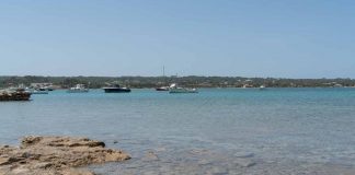 Campaña de seguridad y vigilancia en s’Estany des Peix