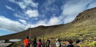 Baleares y Canarias unen esfuerzos para frenar la expansión de serpientes invasoras en las islas Encuentro de coordinación técnica organizado por el Gobierno de las Islas Canarias