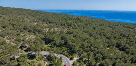 Formentera cierra la temporada de regulación de vehículos con más de 40.000 autorizaciones concedidas Formentera eco
