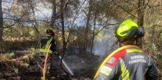 El Consell recuerda medidas para prevenir el fuego frente a la ola de calor Conato de incendio en Cala Saona