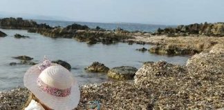 Los microplásticos protagonizan el primer premio del II Concurso de Foto Denuncia de la OCBF