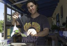“El vitral permite jugar con el color y el reflejo del sol” Entrevista a Guillermina Gallardo
