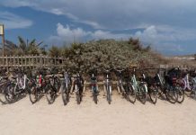 El uso de la bicicleta se incrementa en Formentera en un 150% desde 2017 Bicicletas en Illetes