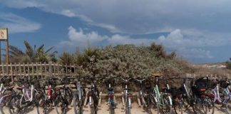 El uso de la bicicleta se incrementa en Formentera en un 150% desde 2017 Bicicletas en Illetes