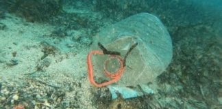 Oceana rechaza que el Ministerio fomente la pesca de basura con artes de arrastre Botella de plástico en fondos marinos de Baleares / foto: Oceana