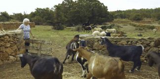 “El valor de los trabajos invisibles de las mujeres en la Formentera del siglo XX”, proyecto de investigación ganador de la primera beca de Igualdad del Consell