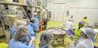 La Cooperativa del Camp de Formentera viaja a Mallorca para conocer los trabajos de otras cooperativas Visita Cooperativa del camp a Mallorca