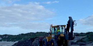 Formentera retorna a las playas de la isla parte de la posidonia retirada durante la temporada de verano Restitución posidonia en ses Illetes