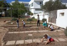 Vuelve el taller de agricultura para niños impulsado por el Consell de Formentera Huerto infantil de Formentera