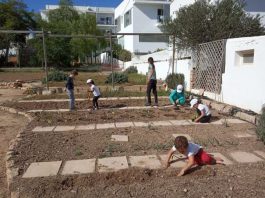 Vuelve el taller de agricultura para niños impulsado por el Consell de Formentera Huerto infantil de Formentera