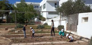 Vuelve el taller de agricultura para niños impulsado por el Consell de Formentera Huerto infantil de Formentera