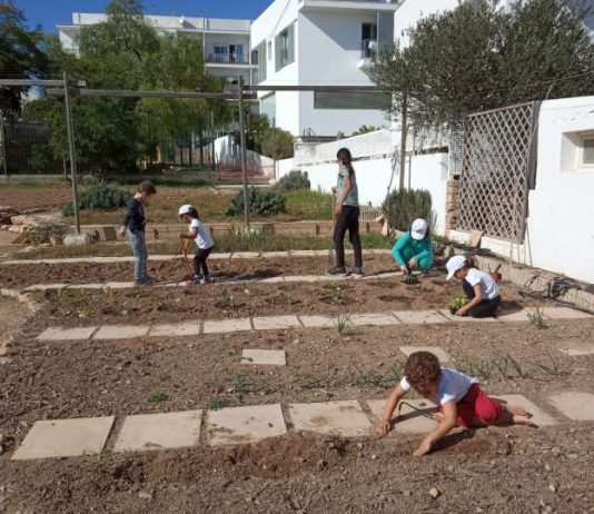 Vuelve el taller de agricultura para niños impulsado por el Consell de Formentera Huerto infantil de Formentera