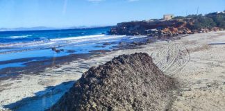 Medio Ambiente inicia la retirada de posidonia en Cala Saona Retirada posidonia en Cala Saona