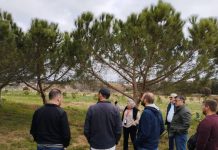 Productores de Formentera visitan proyectos de agricultura y producción ecológica en Cataluña para su aplicación en la isla Visita a productores catalanes