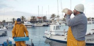 El vídeo de la campaña “De Formentera amb molt de gust” muestra trabajos tradicionales y procesos de elaboración de producto local Imagen del video De Formentera amb molt de gust