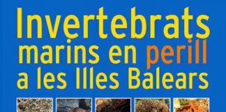La Conselleria balear de Medio Ambiente pide colaboración ciudadana para detectar invertebrados marinos en peligro Invertebrados en peligro