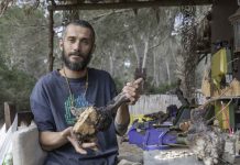 «La madera me sugiere el camino a seguir para la creación de mis piezas» Entrevista a Debo