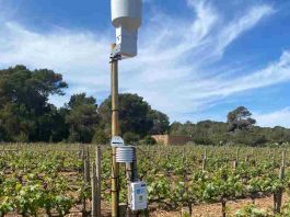 Formentera crea un servicio de avisos fitosanitarios y de riego para los socios de la Cooperativa del Camp Estación instalada en es Cap