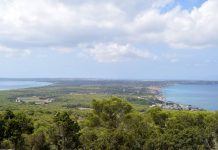 Salvados Formentera