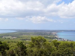 Formentera lidera la caída del paro en el mes de diciembre Formentera