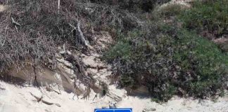 Formentera contará con 100 nuevos puntos de localización para facilitar la labor de los servicios de emergencias Puntos localización de emergencias