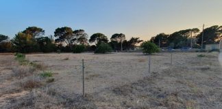 El Consell de Formentera reabre el parking de Cala Saona Terreno para parking en Cala Saona