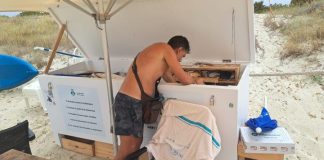 La Policía Local de Formentera desmantela un importante punto de venta ambulante de bebidas en pleno Parc Natural Revisión del material destinado a la venta ambulante