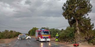 Cae un cable eléctrico en plena carretera