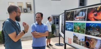 Sant Francesc acoge la exposición fotográfica de MARE: “Historias de nuestro mar” El presidente Llorenç Córdoba en la inauguración de la muestra en la plaza de Sant Francesc