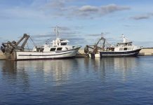 El Govern impulsa la renovación del plan de pesca de las Pitiusas para adaptarlo a la realidad actual del sector Barcas de bou en el puerto de Formentera