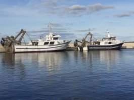 El Parlament reclama por unanimidad cambios urgentes en la normativa pesquera europea que ahoga al sector balear Barcas de bou en el puerto de Formentera