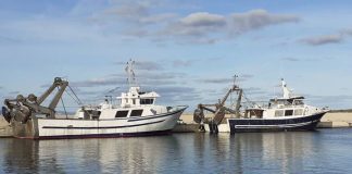 El Parlament reclama por unanimidad cambios urgentes en la normativa pesquera europea que ahoga al sector balear Barcas de bou en el puerto de Formentera
