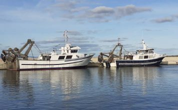 El Govern destina 750.000 euros para compensar el sobrecoste del gasóleo de la flota pesquera de las Illes Balears Barcas de bou en el puerto de Formentera