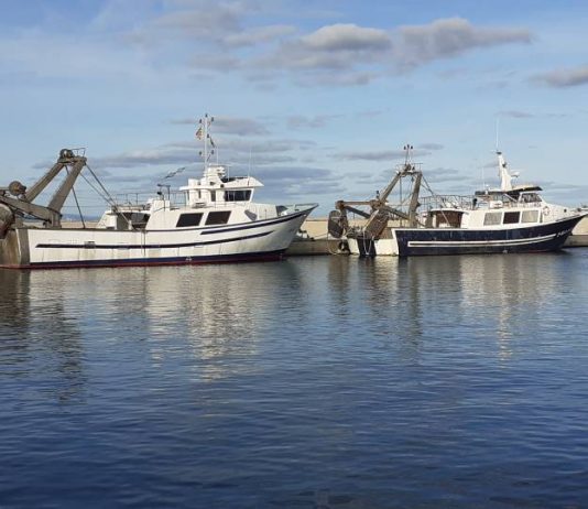 El Parlament reclama por unanimidad cambios urgentes en la normativa pesquera europea que ahoga al sector balear Barcas de bou en el puerto de Formentera
