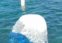 8.215 kilos de residuos extraídos de las costas de Balears durante el mes de agosto