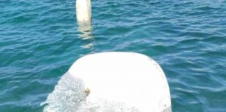 8.215 kilos de residuos extraídos de las costas de Balears durante el mes de agosto