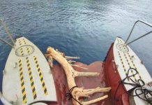 El servicio de limpieza del litoral concluye la temporada 2023 con 27,81 toneladas de residuos retirados de las costas baleares Los restos de madera son residuos comunes encontrados en las aguas del archipiélago